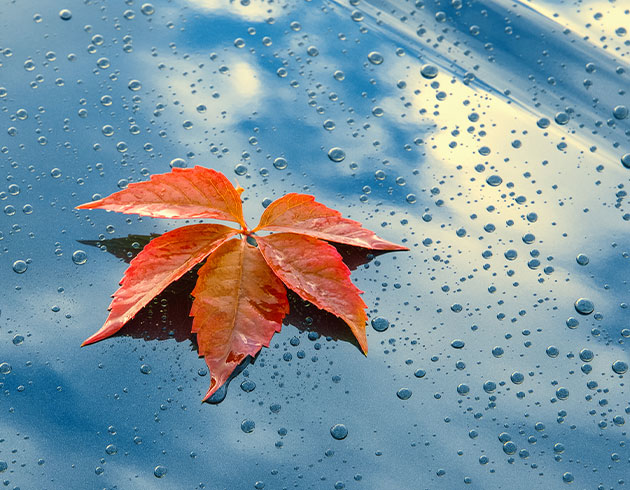 Motorhaube mit Regentropfen, symbolisiert Schutz durch Carbon-Versiegelung
